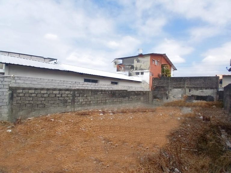 WhatsApp Image at ()