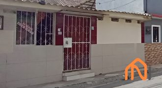 Orquídeas
