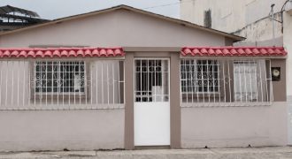 Guayacanes