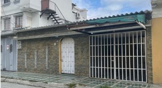Guayacanes