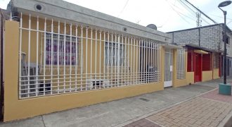 Floresta 1